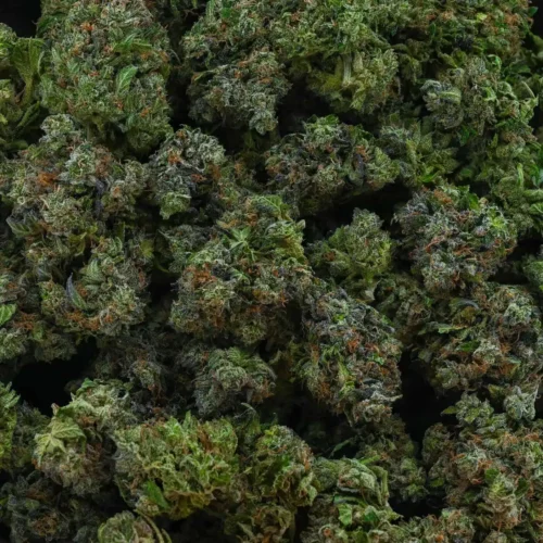Galactic Gas (AAAA)