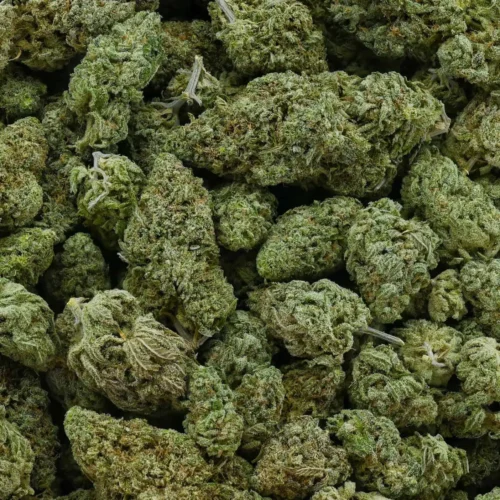 UK Cheese (AAAA)