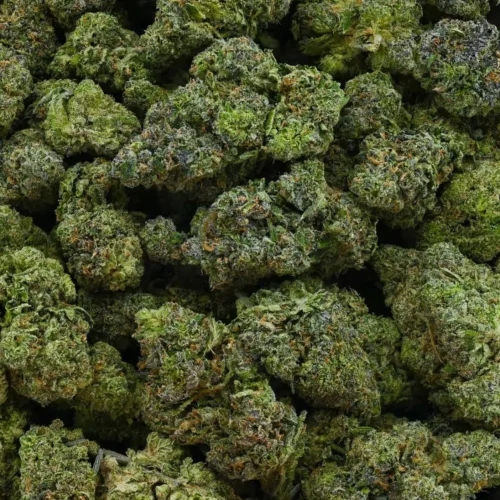 Cherry Chem (AAAA)