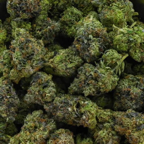 Double Death Bubba (AAAA+)