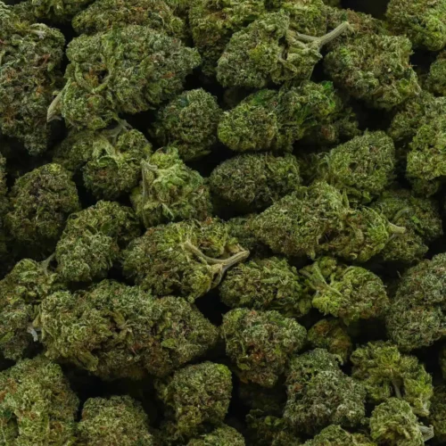 Pink Bubba (AAAA)