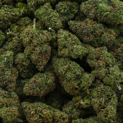 Coastal Pink (AAA+)
