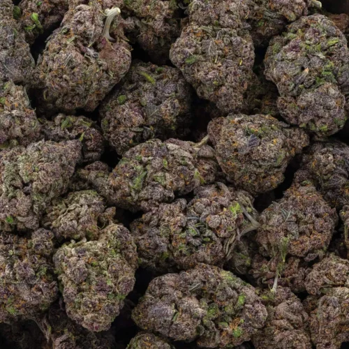 Raspberry Cough (AAA+)
