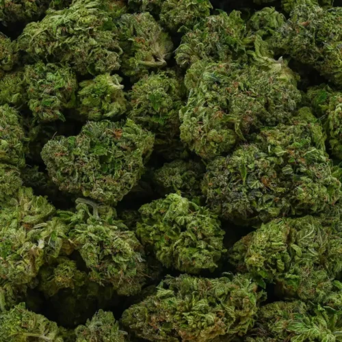 SFV OG Kush (AAAA)