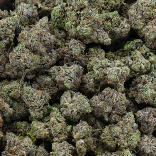 Pink Wagyu (AAAA+)