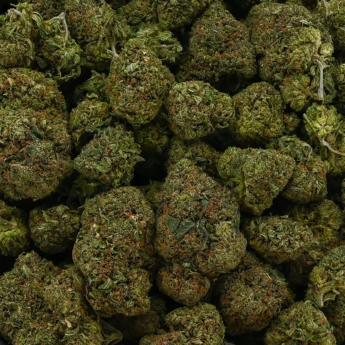 Lemon OG (AAA)