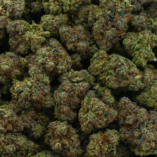 Sweet Tooth (AAA+)