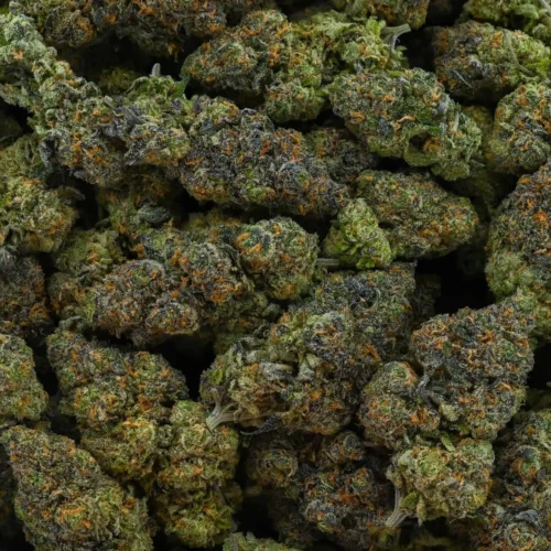 Watermelon Zkittlez (AAAA)